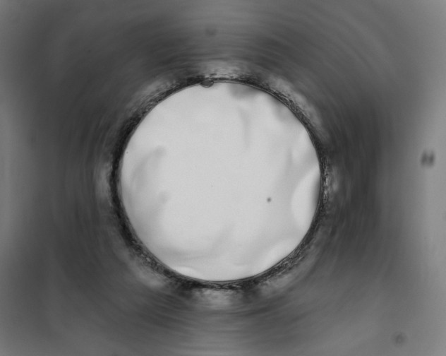X0000101230209200807251142