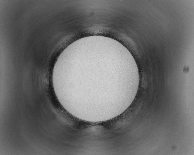 X0000101230210200807251142