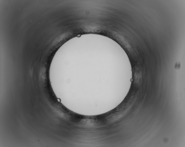 X0000101230211200807251142