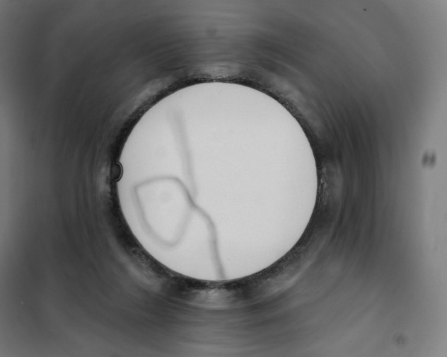 X0000101230212200807251142