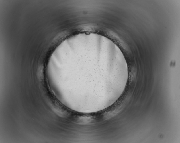 X0000101230213200807251142