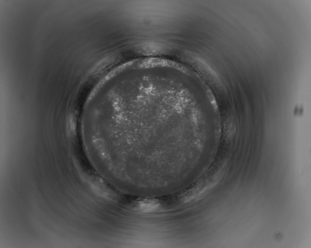 X0000101230214200807251142