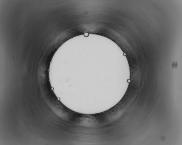 X0000101230215200807251142