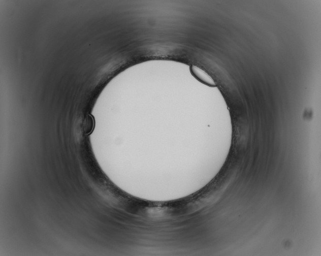 X0000101230216200807251142