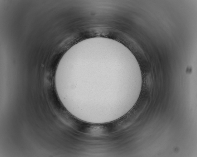 X0000101230218200807251141
