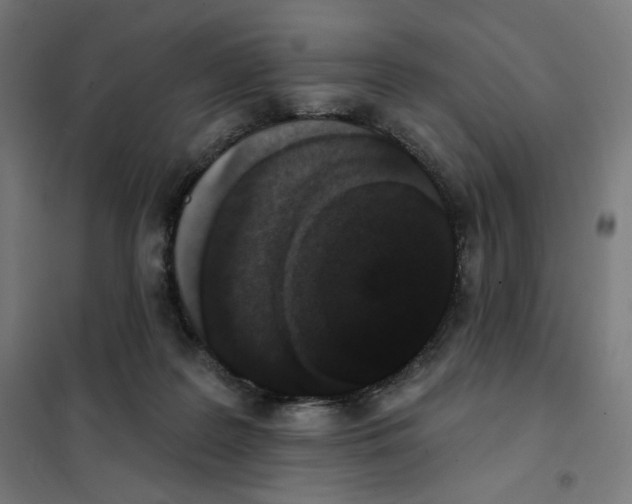 X0000101230219200807251141