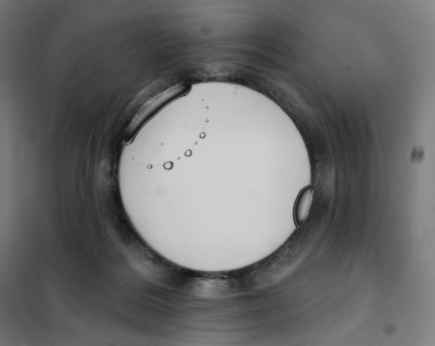X0000101230220200807251141