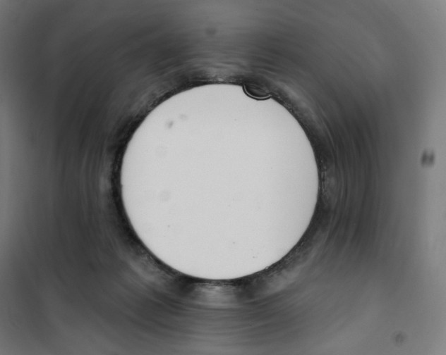 X0000101230221200807251141