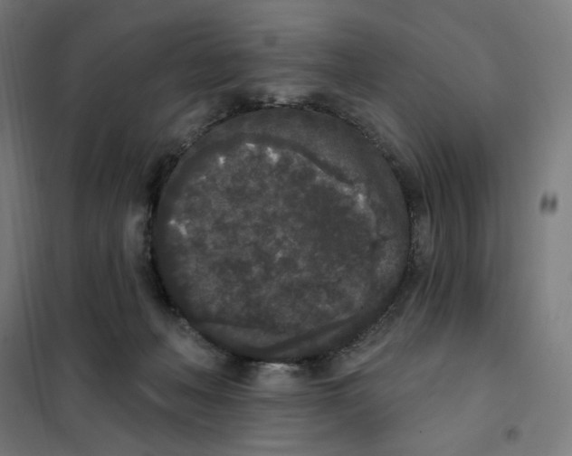 X0000101230222200807251141