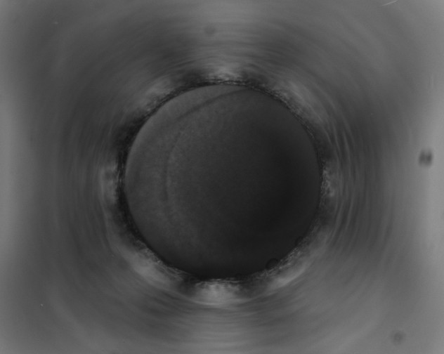 X0000101230223200807251141