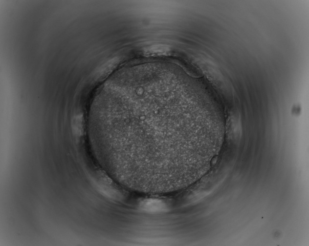 X0000101230224200807251141