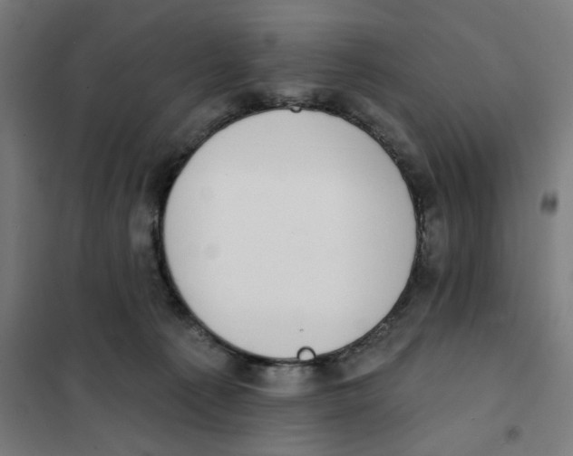 X0000101230225200807251141