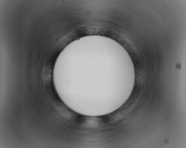 X0000101230226200807251141