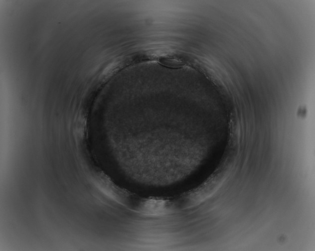 X0000101230227200807251141