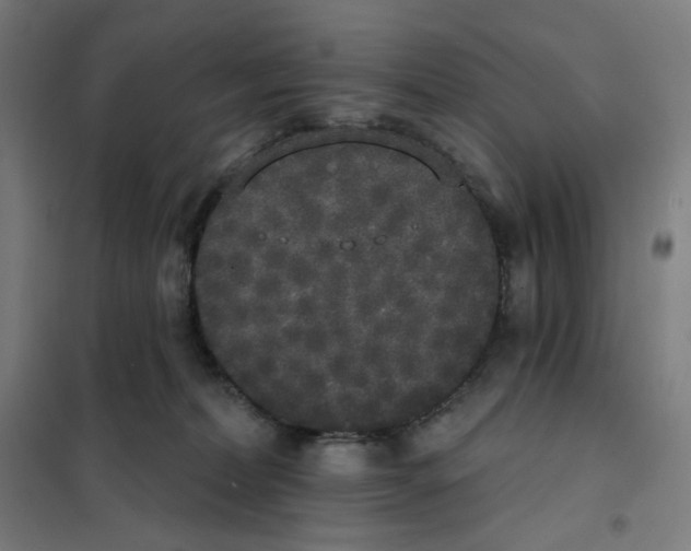 X0000101230228200807251141