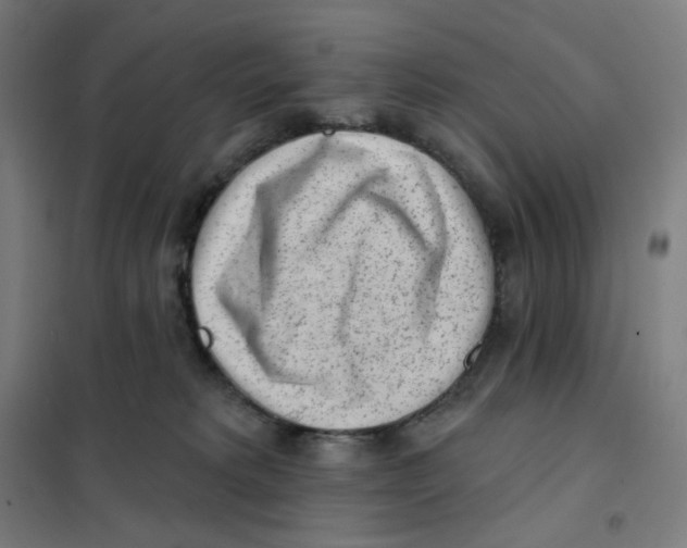 X0000101230229200807251141