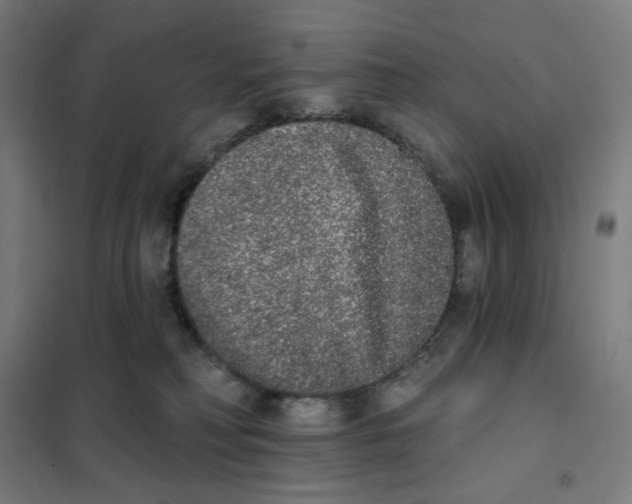 X0000101230230200807251141