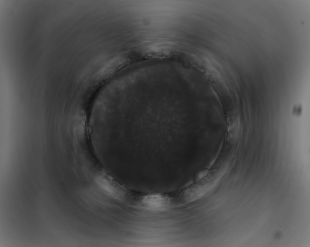 X0000101230231200807251141