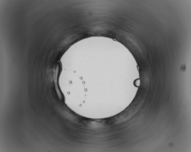 X0000101230232200807251141