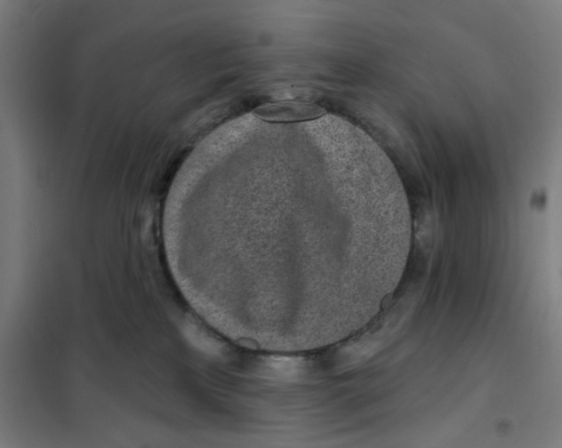 X0000101230233200807251141