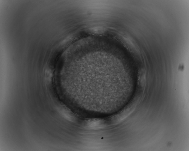 X0000101230235200807251141