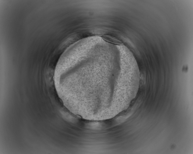 X0000101230237200807251141