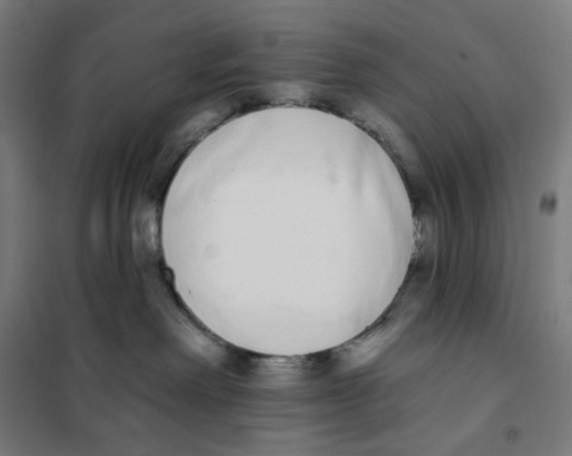 X0000101230238200807251141