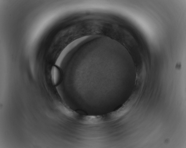 X0000101230239200807251141