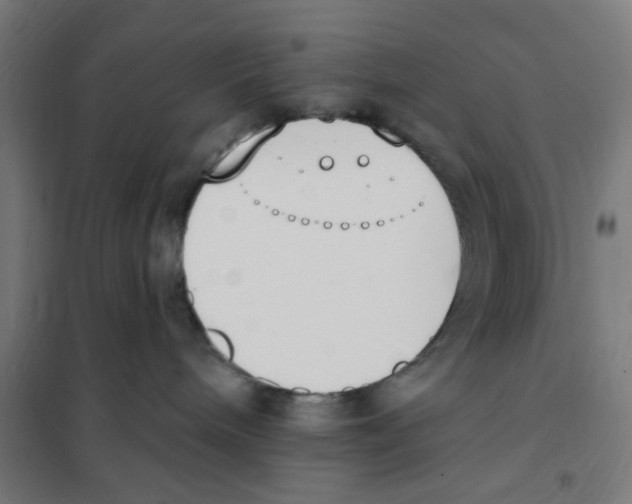 X0000101230240200807251141
