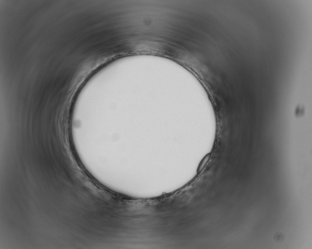 X0000101230241200807251141