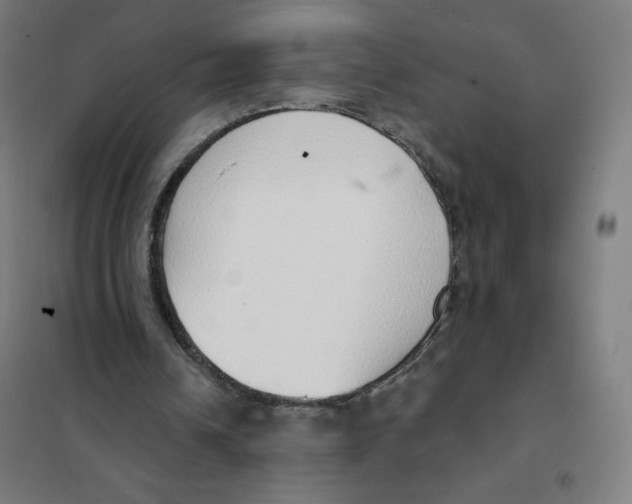X0000101230242200807251141