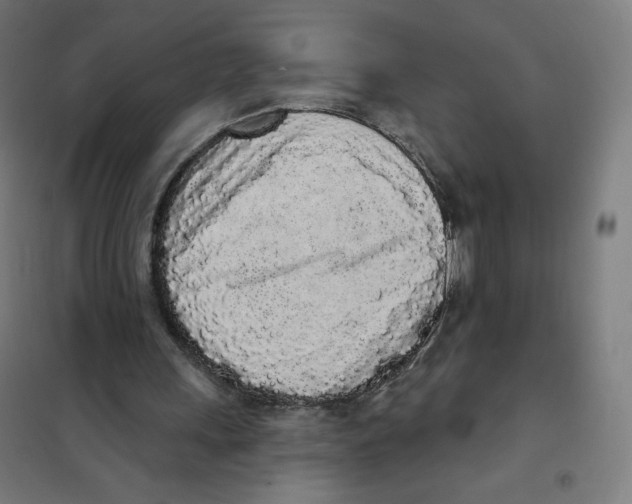X0000101230243200807251141