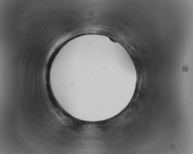 X0000101230244200807251141