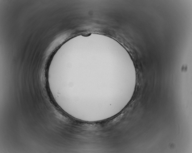X0000101230245200807251141