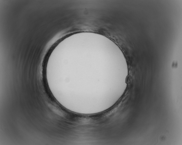 X0000101230246200807251141