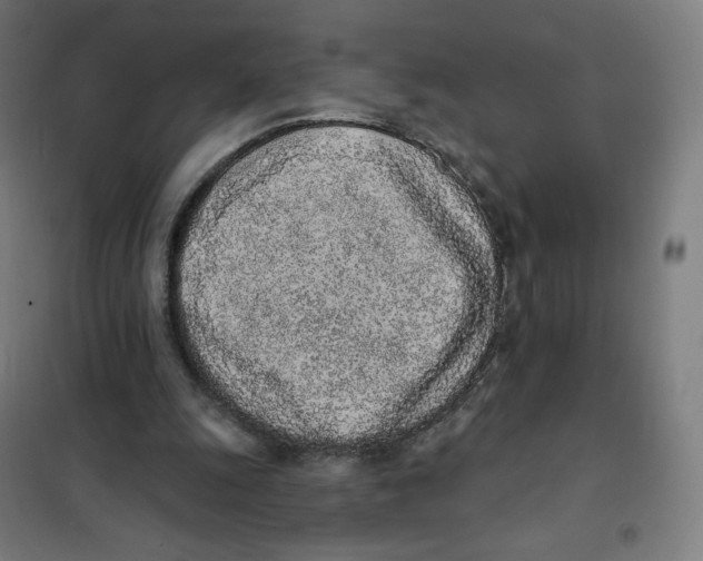 X0000101230247200807251141