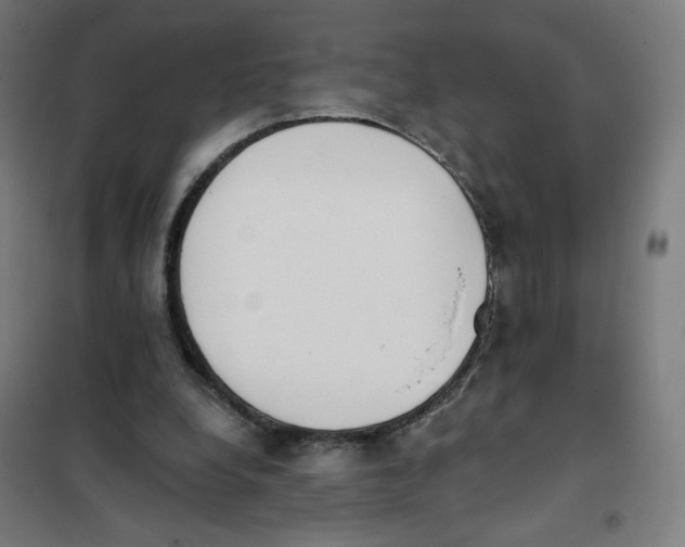 X0000101230248200807251141
