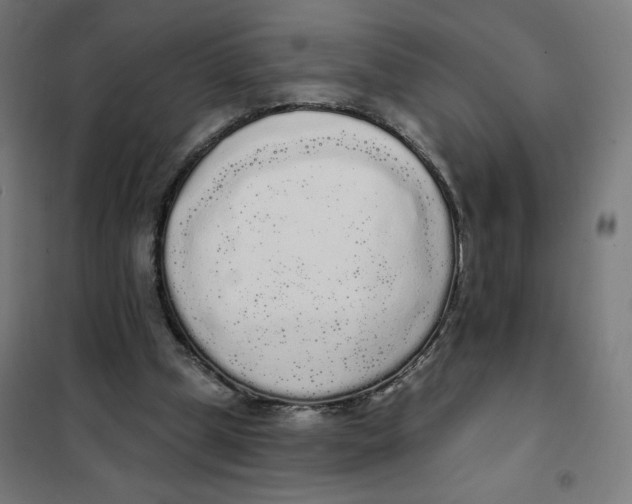 X0000101230249200807251141