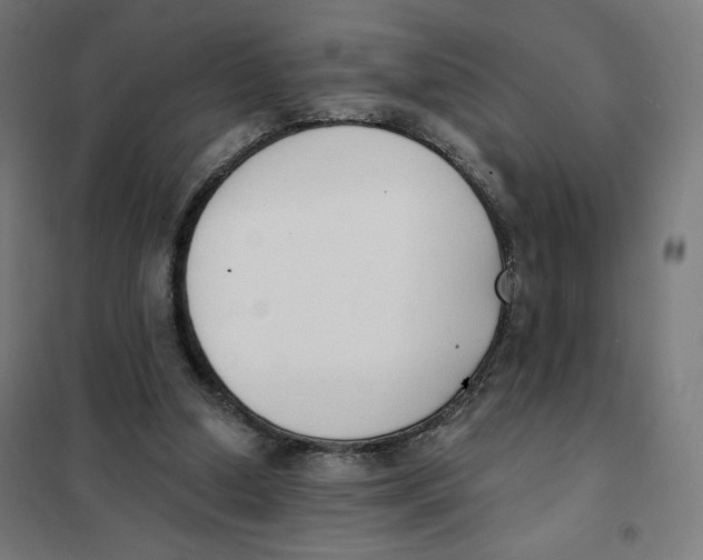 X0000101230250200807251141