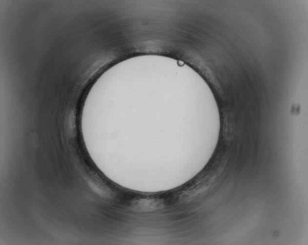 X0000101230251200807251141