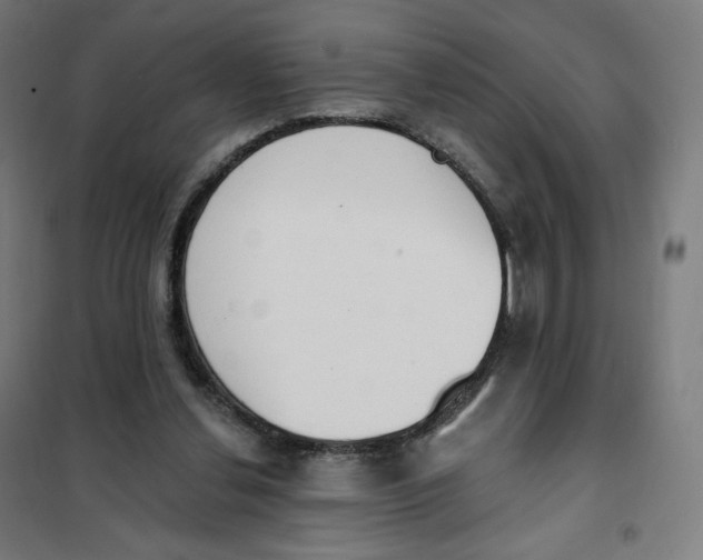 X0000101230252200807251141