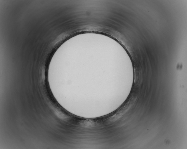 X0000101230253200807251141