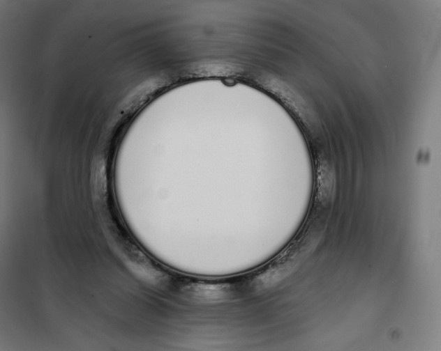 X0000101230254200807251141