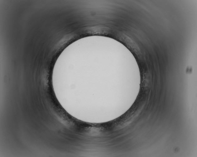 X0000101230255200807251141