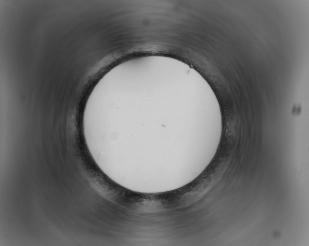 X0000101230256200807251141