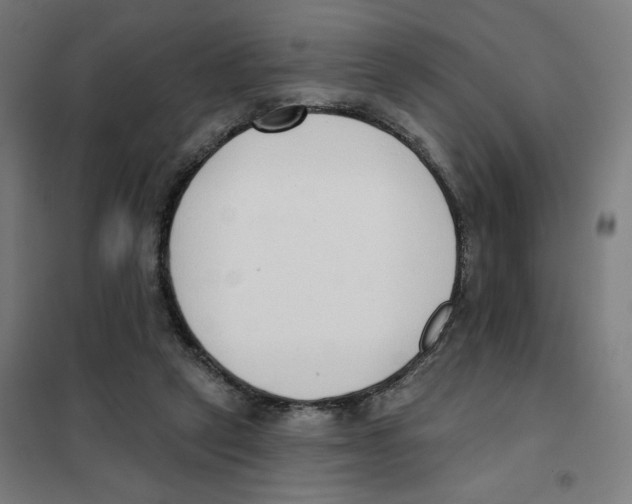 X0000101230257200807251141