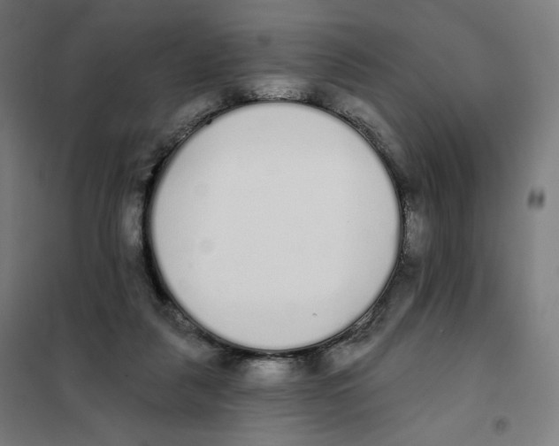 X0000101230259200807251141