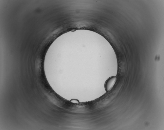 X0000101230260200807251141