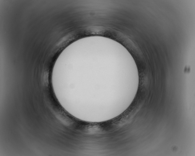 X0000101230262200807251141