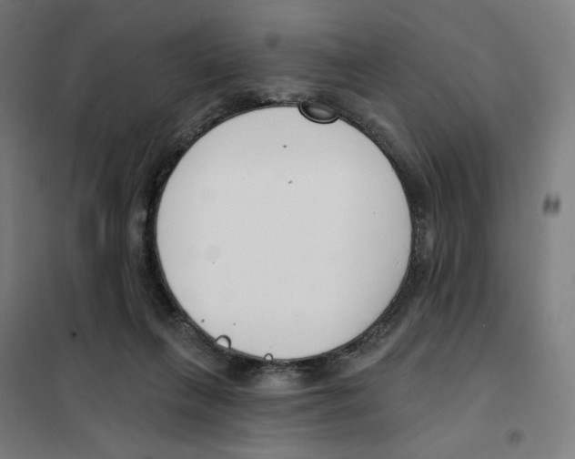 X0000101230263200807251141